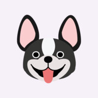 Frenchie- Women's Tee Design